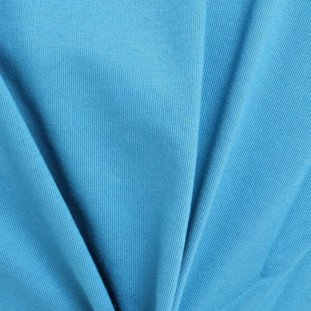 エアボーン（ARBN）（メンズ）ボタニカル半袖Tシャツ 013SS-BLU