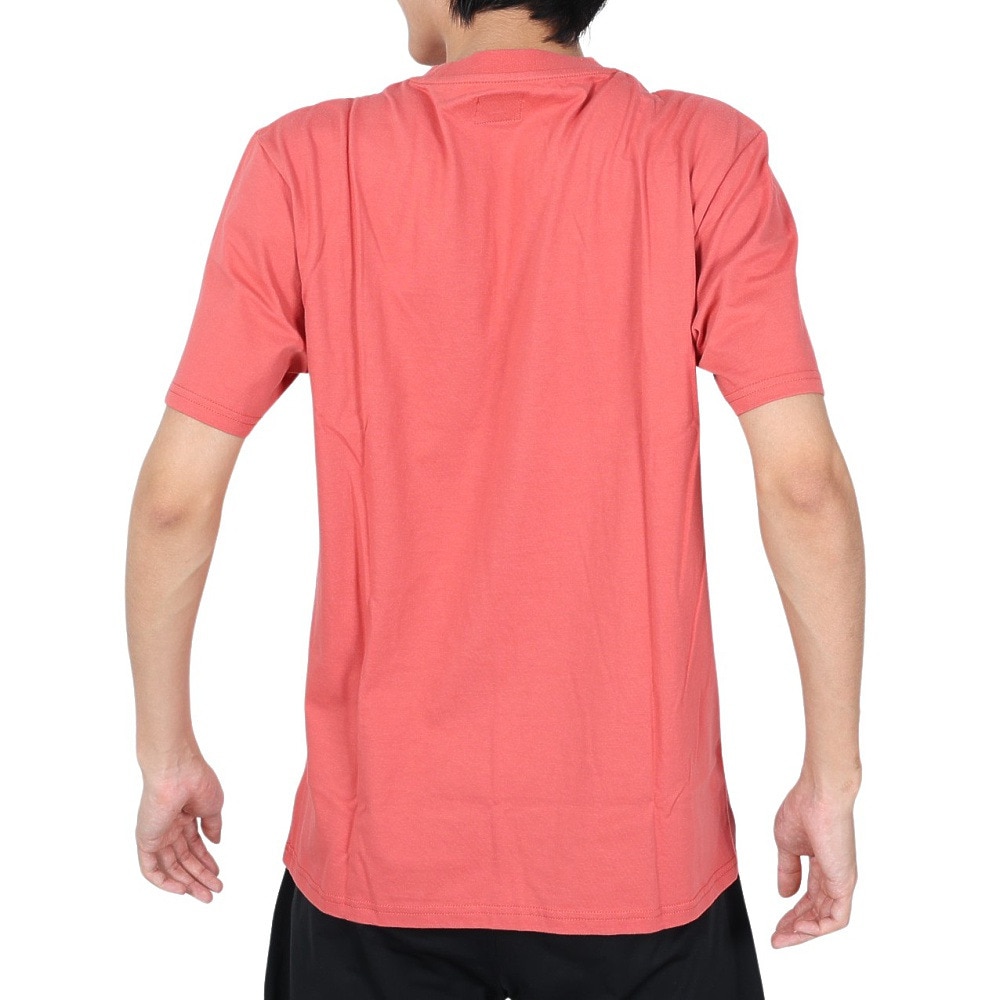 エアボーン（ARBN）（メンズ）ボタニカル半袖Tシャツ 020SS-PNK