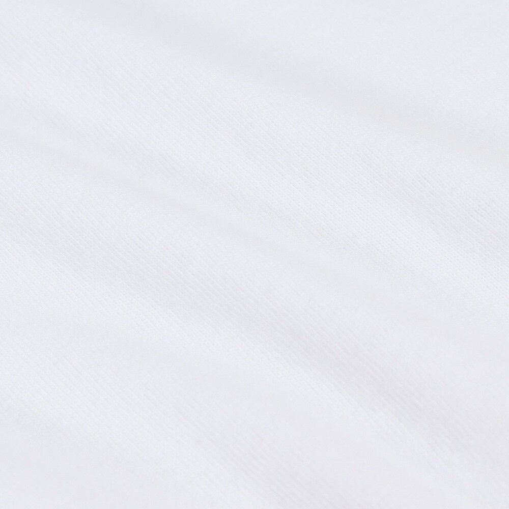 RVCA（メンズ）半袖 Tシャツ メンズ バックプリント BALANCE SEAL ST BC041240 WHT