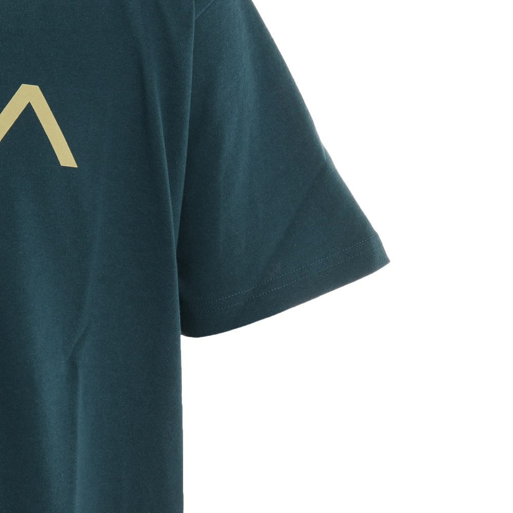 RVCA（メンズ）半袖Tシャツ メンズ 大きめ BIG RVCA ST BC041242 EMG