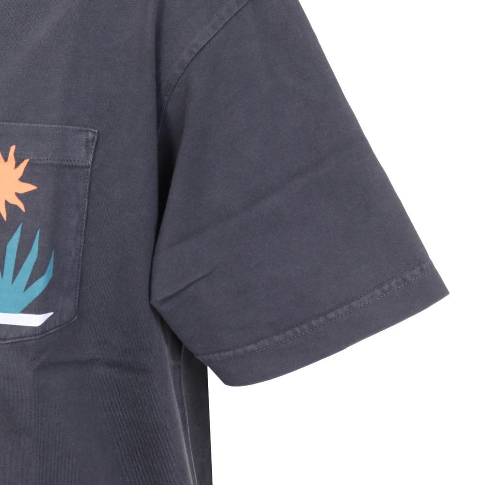 ビラボン（BILLABONG）（メンズ）TROPICS 半袖Tシャツ BC011210 CHR