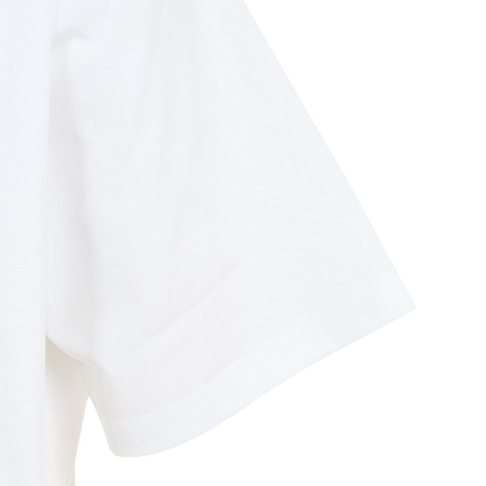 ルーカ（RVCA）（メンズ）速乾 バックプリント 半袖 Tシャツ LAYOVER ホワイト BC041267 WHT