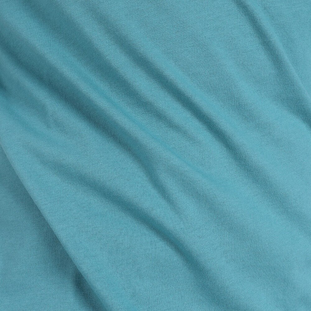 クイックシルバー（Quiksilver）（メンズ）半袖Tシャツ メンズ SCENIC JOURNEY 23SPQST231014BLU