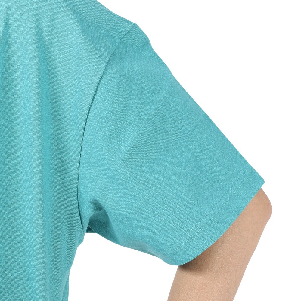 ビラボン（BILLABONG）（メンズ）MOUTIAN LOGO 半袖Tシャツ BD011217 DST