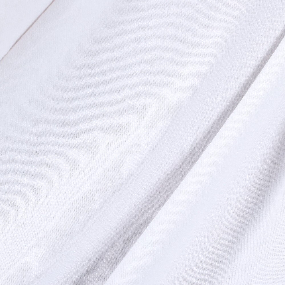 RVCA（メンズ）半袖Tシャツ メンズ BIG RVCA BD041222 WHT