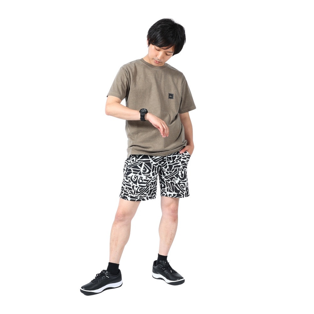 クイックシルバー（Quiksilver）（メンズ）クイック ラインボックス 半袖Tシャツ 23SUQST232006BRN