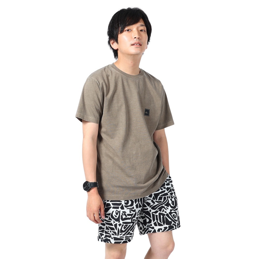 クイックシルバー（Quiksilver）（メンズ）クイック ラインボックス 半袖Tシャツ 23SUQST232006BRN