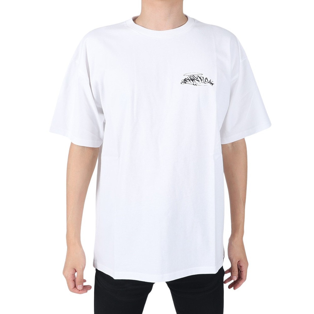 ディーシーシューズ（DC SHOES）（メンズ）半袖Tシャツ メンズ 23 GRAFFITI SS 23SUDST232057YWHT