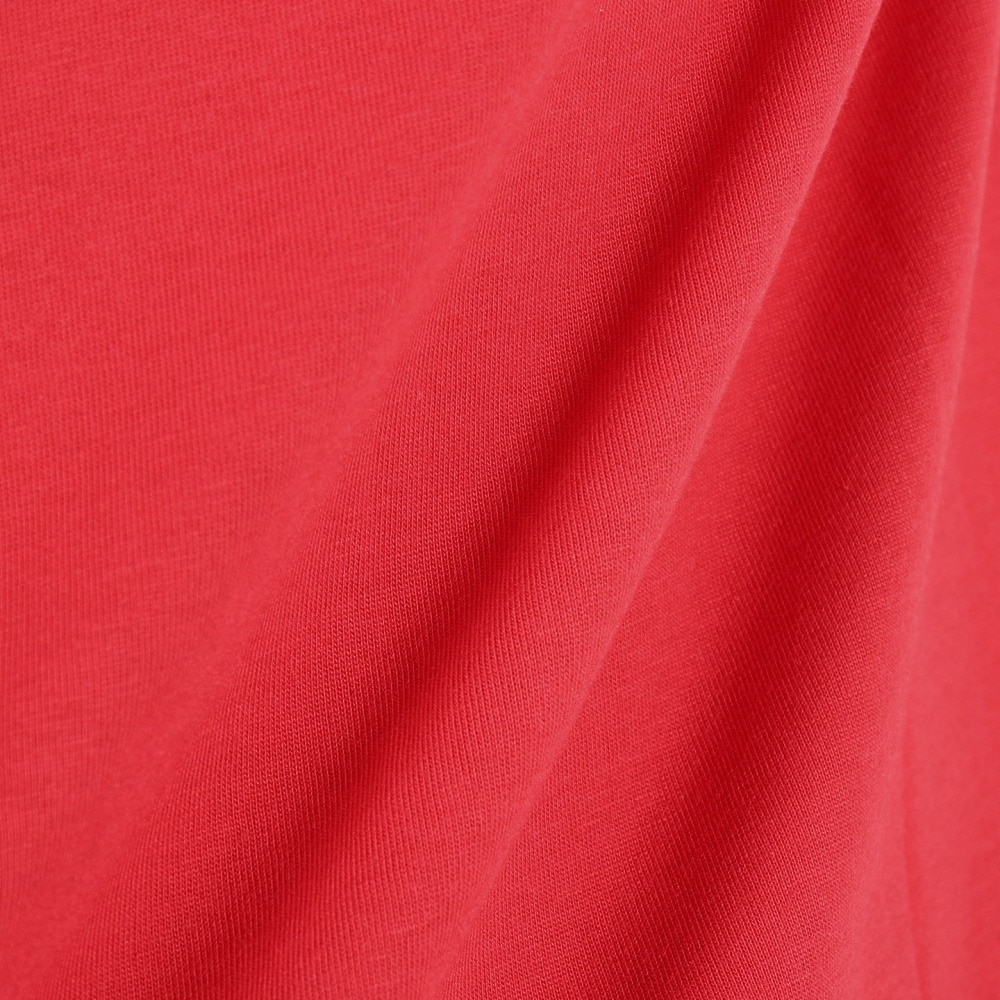 スライド（SLYDE）（メンズ）半袖Tシャツ メンズ DECK SL2023SSM-APP004RED