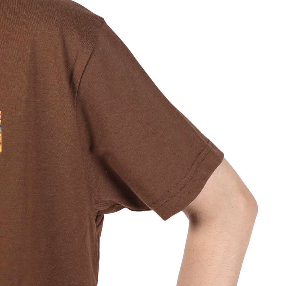 スライド（SLYDE）（メンズ）半袖Tシャツ メンズ DECK BOX SL2023SSM-APP006BRN