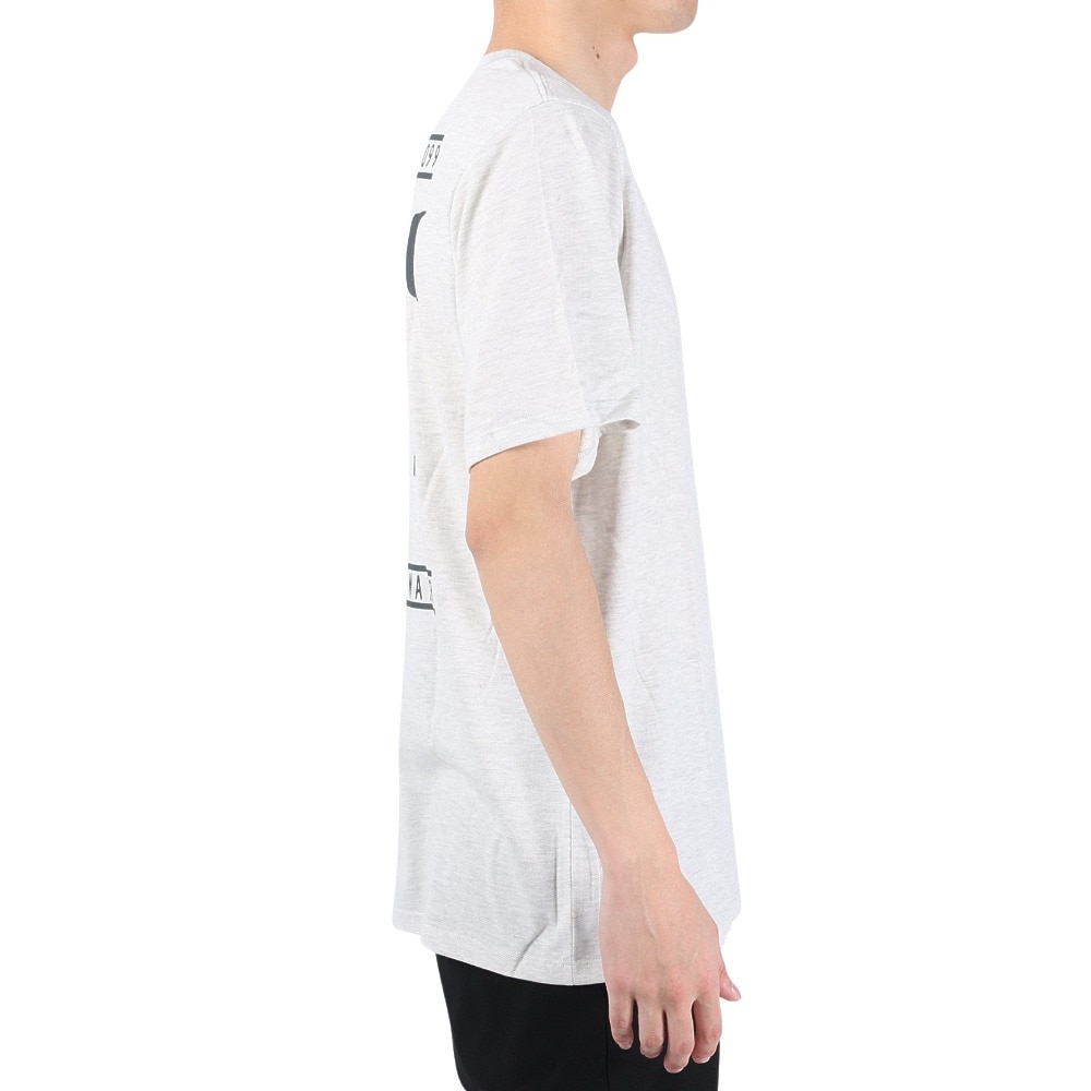 ハーレー（HURLEY）（メンズ）TRADEMARK 半袖Tシャツ MSS2310011-AGHT