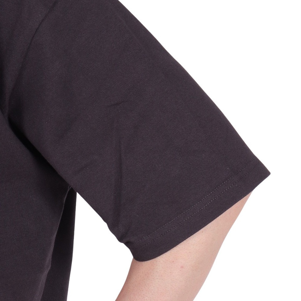 ルーカ（RVCA）（メンズ）PENNANTAN 半袖Tシャツ BE041227 MBL