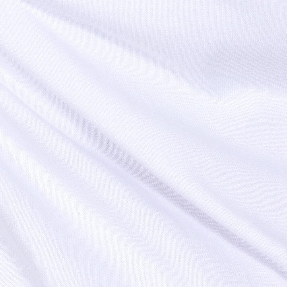 ルーカ（RVCA）（メンズ）tシャツ 半袖 ホワイト 白 PENNANTAN 半袖Tシャツ BE041227 WHT