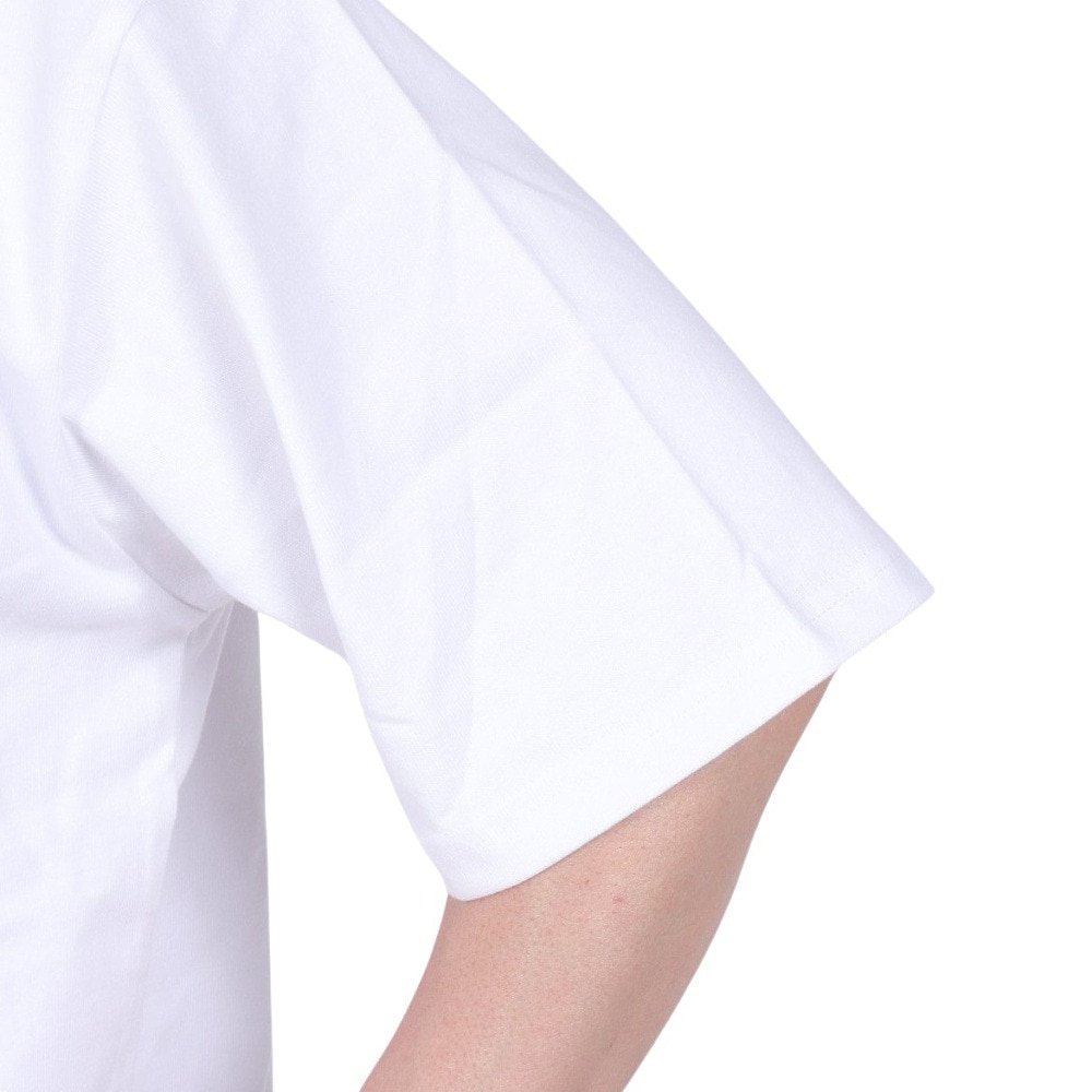 ルーカ（RVCA）（メンズ）tシャツ 半袖 ホワイト 白 PENNANTAN 半袖Tシャツ BE041227 WHT