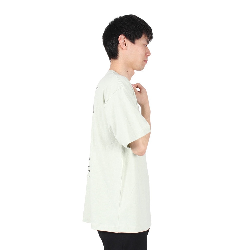 ビラボン（BILLABONG）（メンズ）DECAF Tシャツ BE011213 SAG