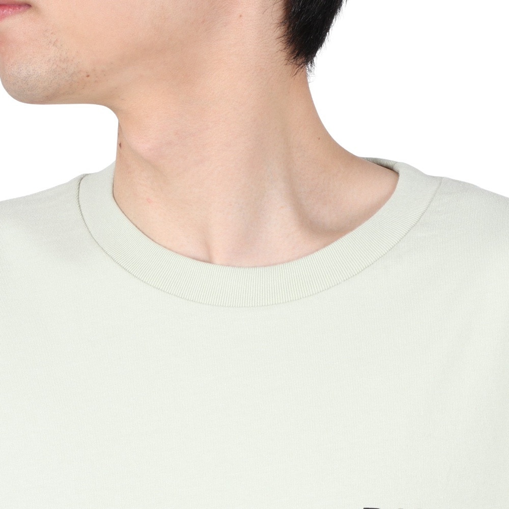ビラボン（BILLABONG）（メンズ）DECAF Tシャツ BE011213 SAG