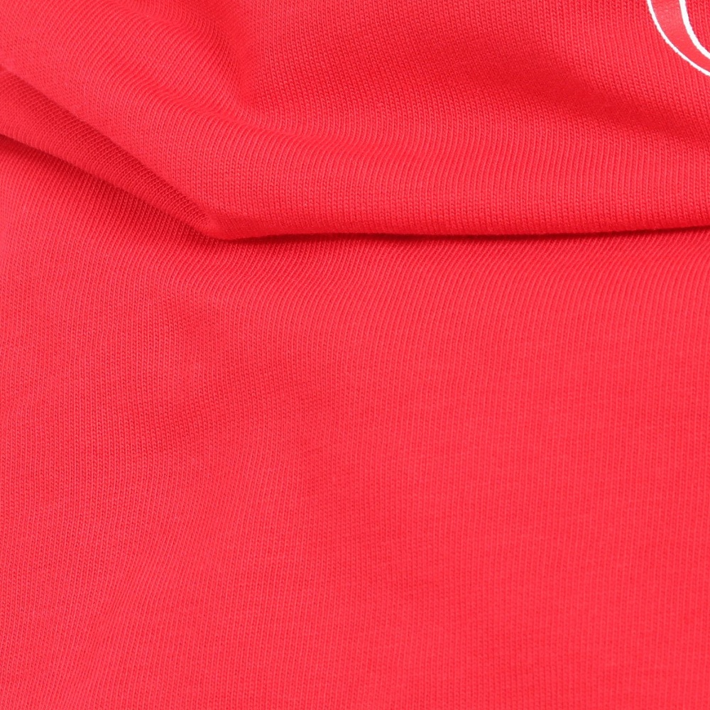 ディーシーシューズ（DC SHOES）（メンズ）SHY TOWN HSS 半袖Tシャツ 24SPDST241083RQR7