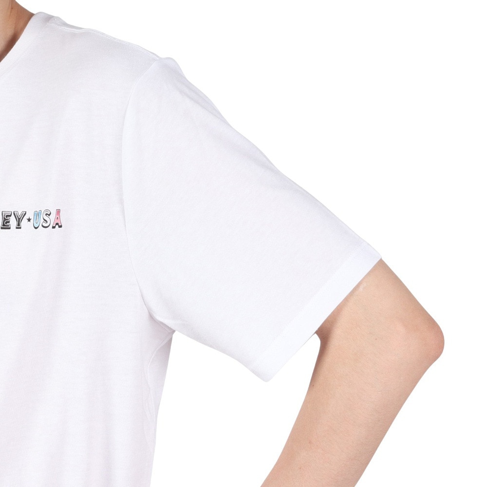 ハーレー（HURLEY）（メンズ）エブリデイ インディー ペンデンス ショートスリーブ Tシャツ MTS0040370-H100
