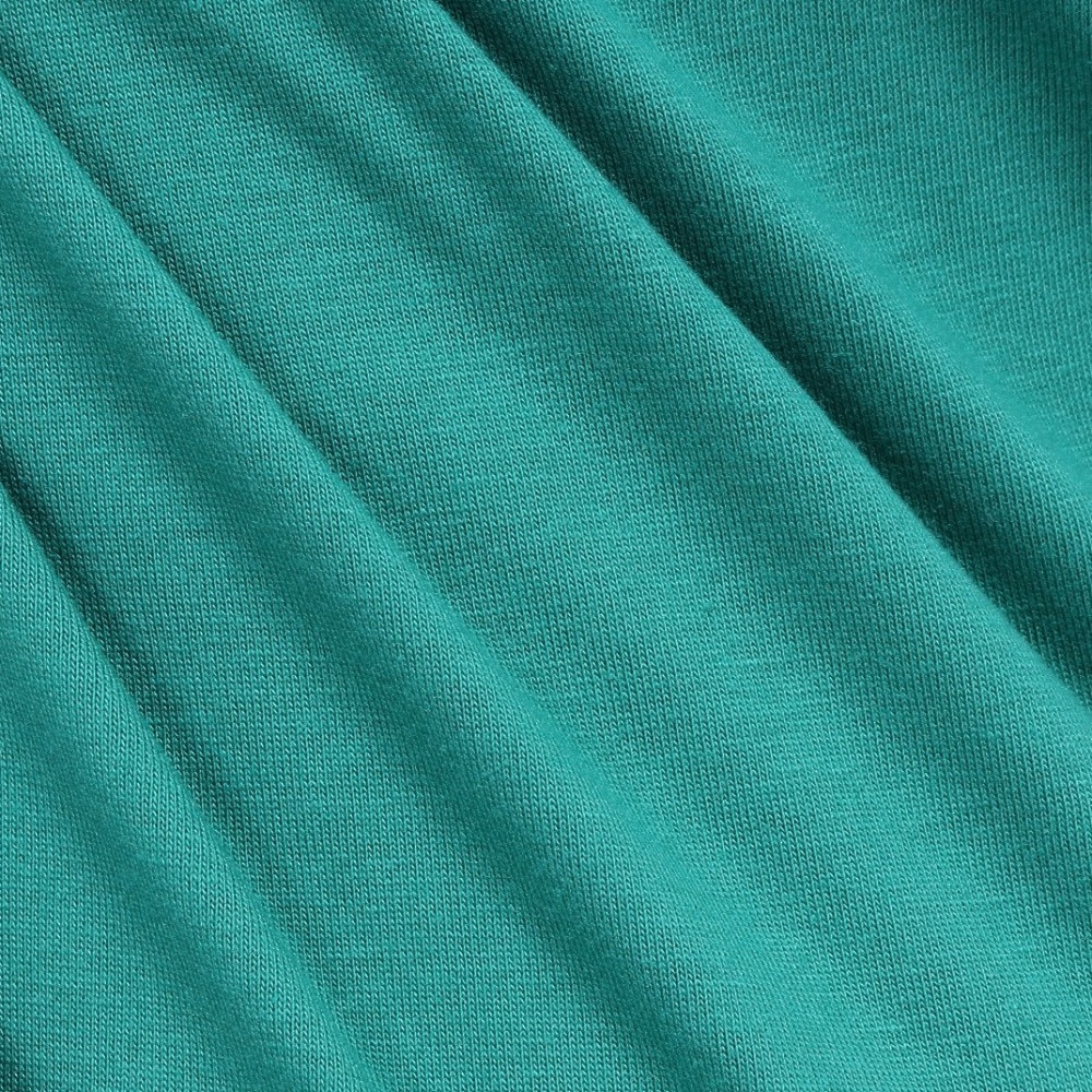 スライド（SLYDE）（メンズ）スモールロゴ 半袖Tシャツ SL24SSM-APP017-GRN
