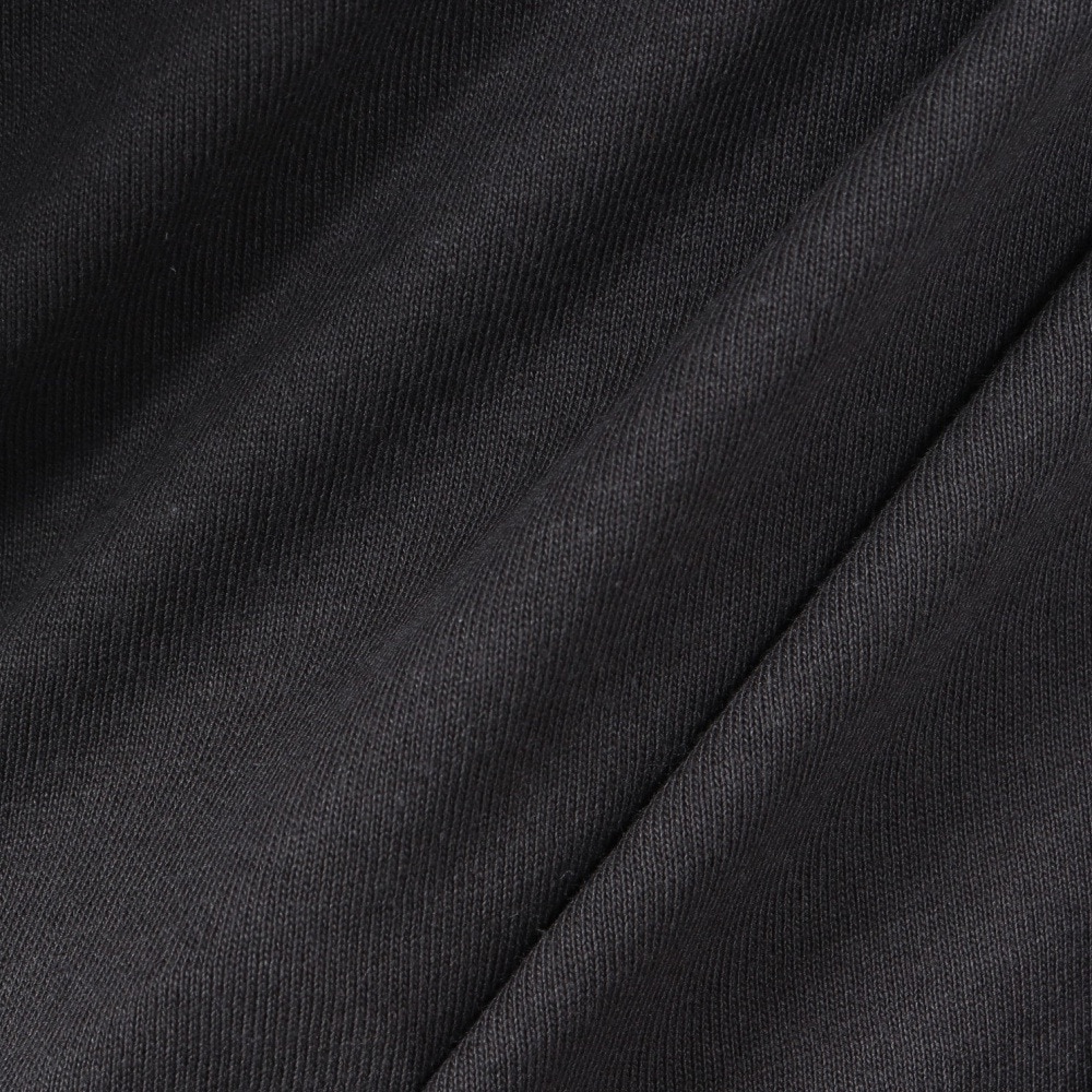 ボルコム（Volcom）（メンズ）SKATE VITALS FAST N LOOSE GRANT TAYLOR 半袖Tシャツ 24AF312402 STH