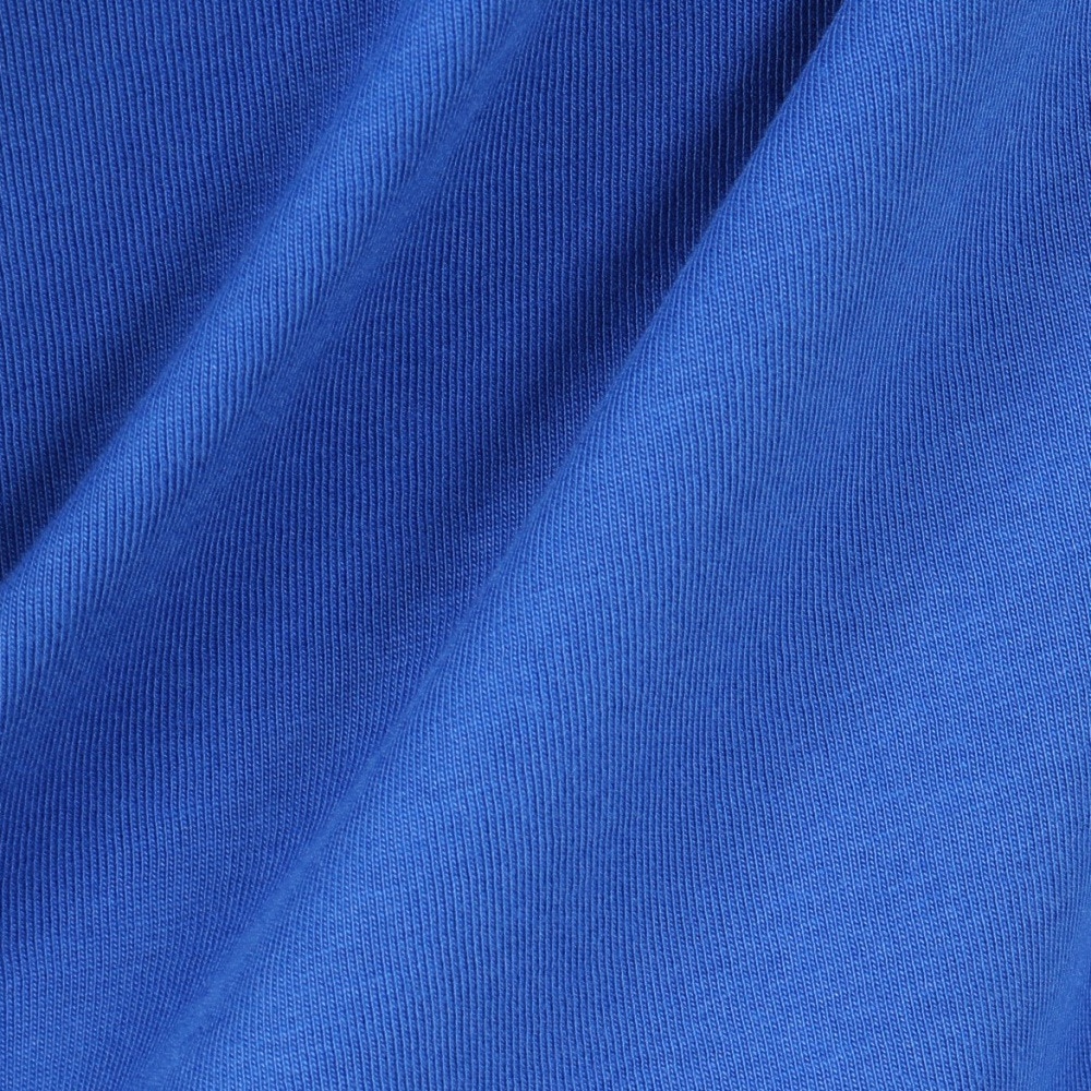 スライド（SLYDE）（メンズ）ロゴ POP Tシャツ SL25SSM-APP052BLU
