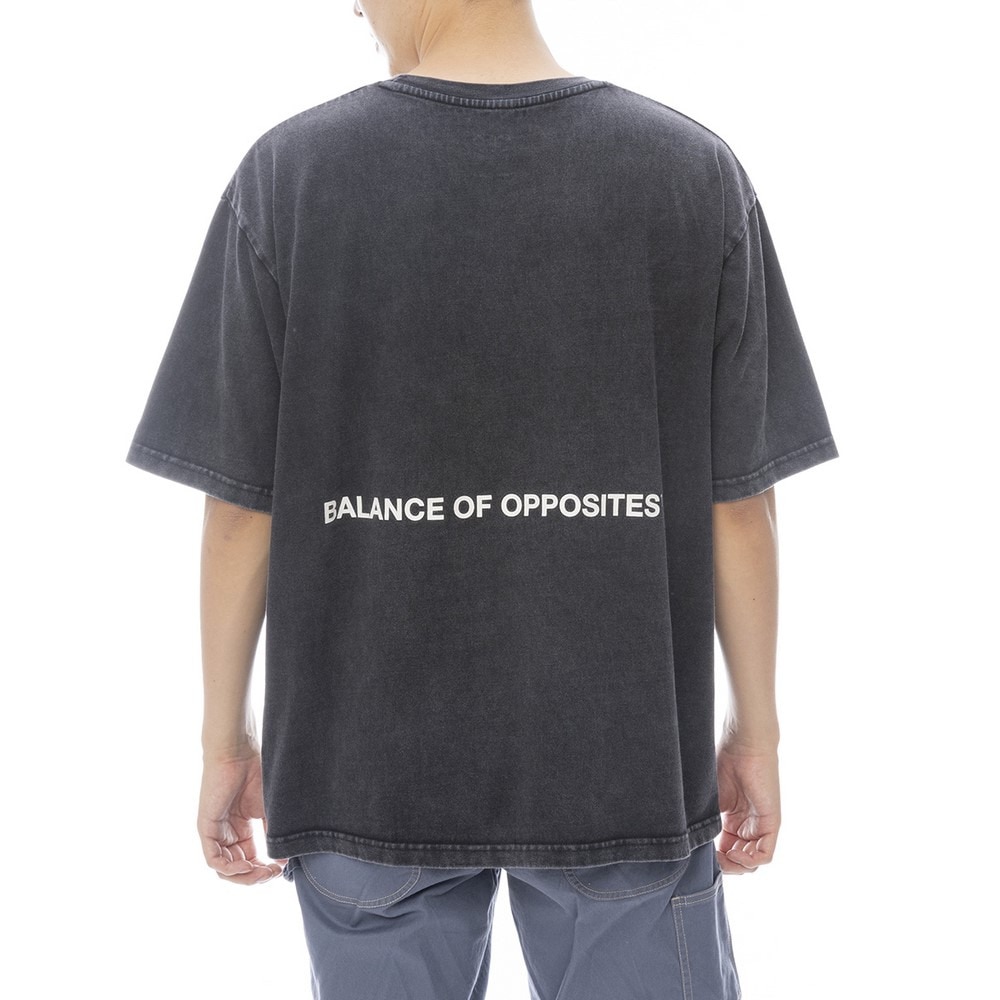 ルーカ（RVCA）（メンズ）DAY DREAM RVCA 半袖Tシャツ BF041261 BSM