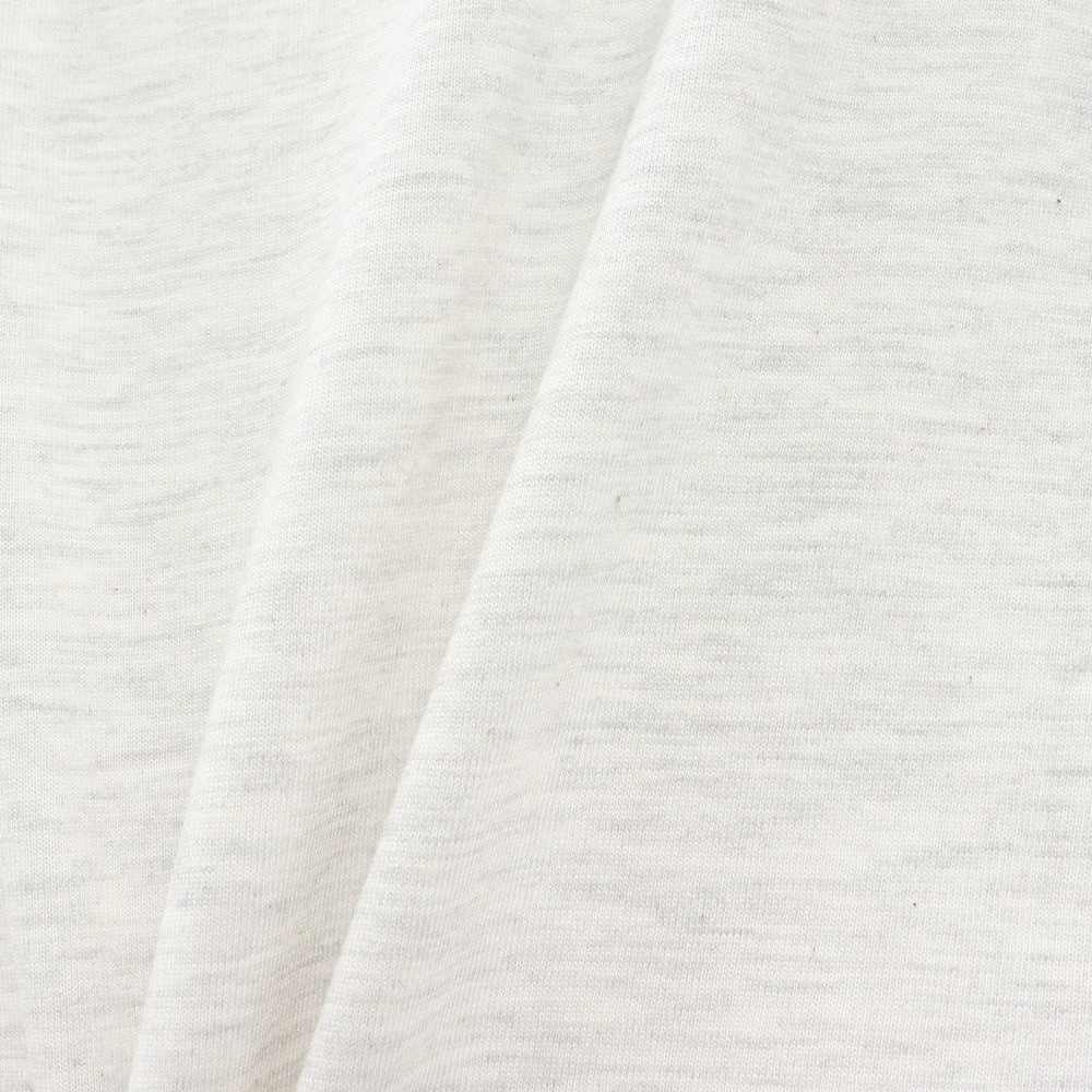 ハーレー（HURLEY）（メンズ）EST. 1999 ショートスリーブTシャツ MCSS251047-AGHT