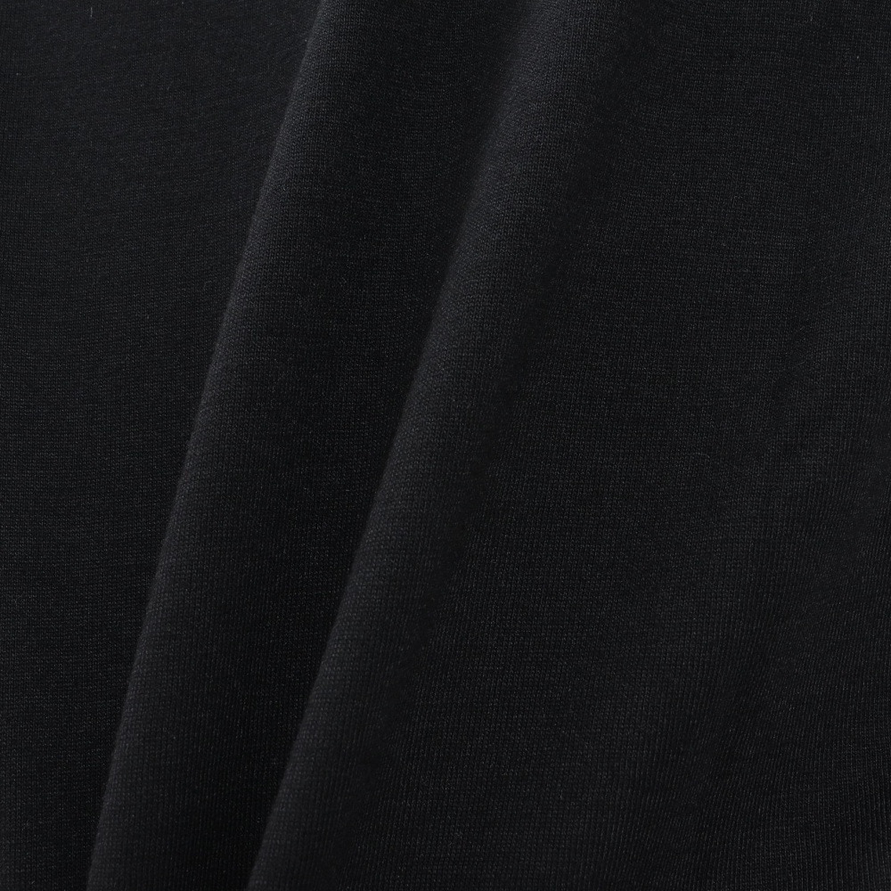 ハーレー（HURLEY）（メンズ）EST. 1999 ショートスリーブTシャツ MCSS251047-BLK