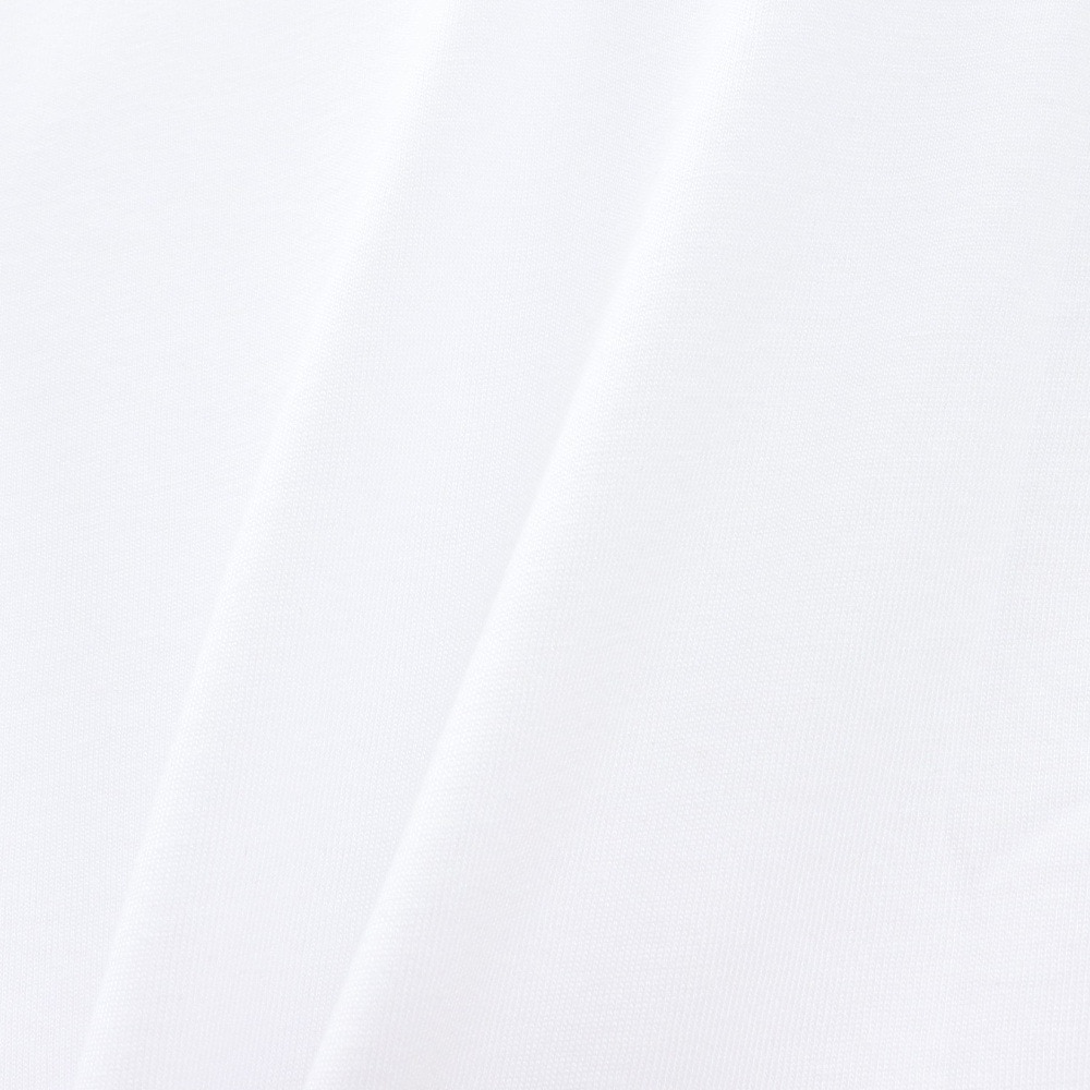 ハーレー（HURLEY）（メンズ）EST. 1999 ショートスリーブTシャツ MCSS251047-WHT