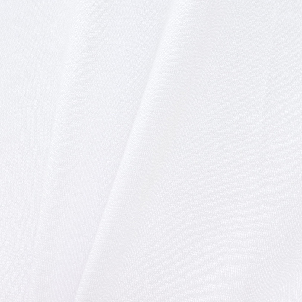 ハーレー（HURLEY）（メンズ）SIGN ショートスリーブTシャツ MCSS251050-WHT