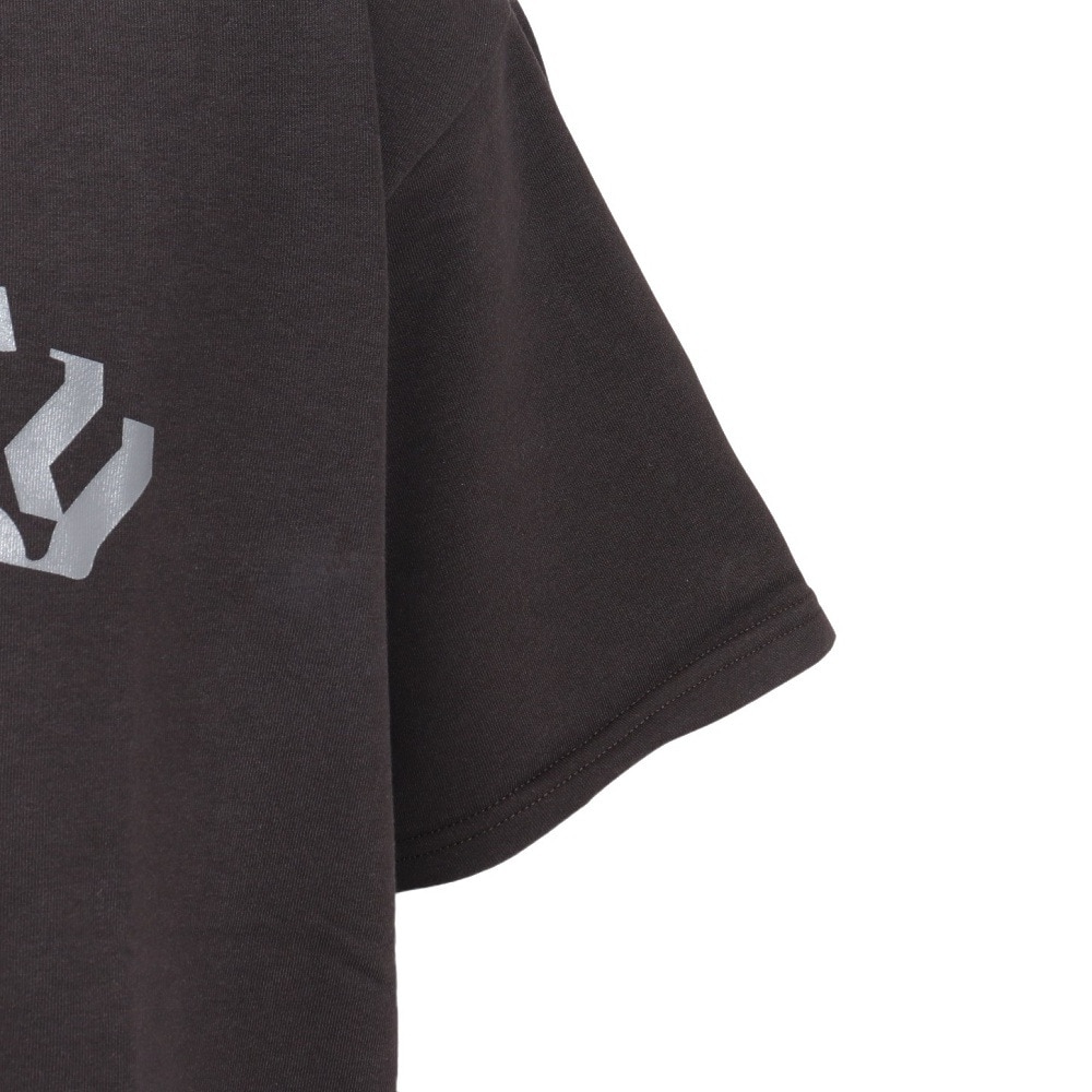 ハーレー（HURLEY）（メンズ）TERRY OLD ENGLISH ロゴ オーバーサイズ ショートスリーブTシャツ MCSS251068-CGY