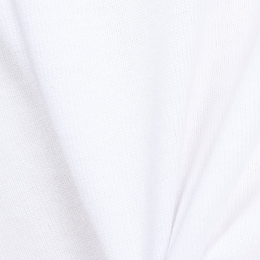 ディーシーシューズ（DC SHOES）（メンズ）TWO BIT HSSART 半袖Tシャツ 25SPDST251092WHT