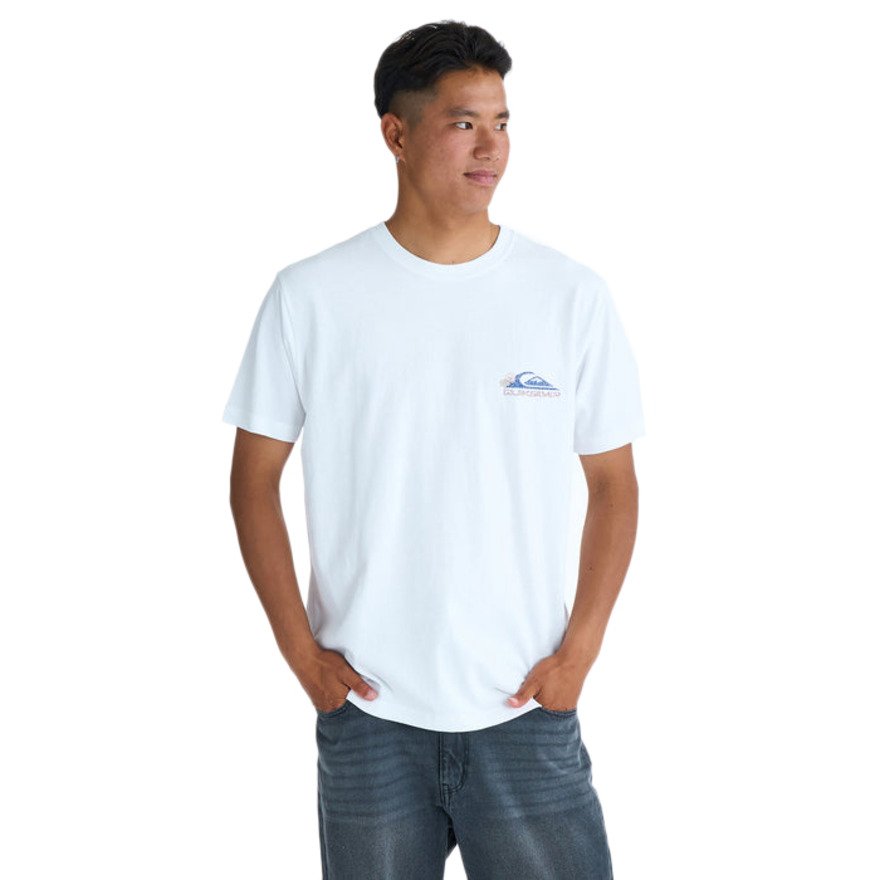 クイックシルバー（Quiksilver）（メンズ）PG ARTY SURF SCENE ST 半袖