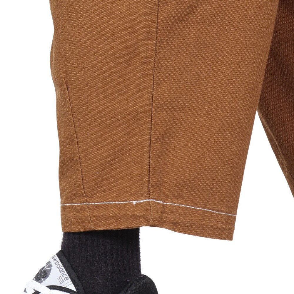 ディーシー・シュー（DC SHOE）（メンズ）BIG CARGO パンツ 22FWDPT224054BRN