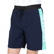 ハーレー(HURLEY)(メンズ)PHTM ALPHA FAST18 DOLPHIN ショートパンツ 22 CJ6270-451