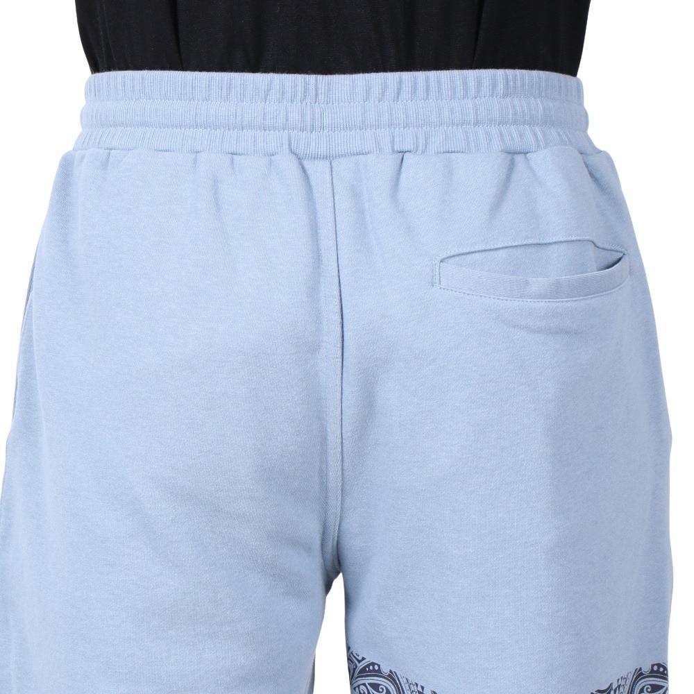 ハーレー（HURLEY）（メンズ）テリー トライバル BP ショートパンツ MWS2411015-DBLE