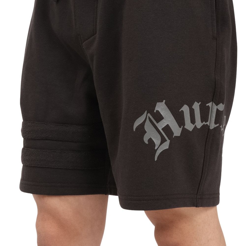ハーレー（HURLEY）（メンズ）テリー オールドイングリッシュ ロゴショーツ MCWS251069-CGY