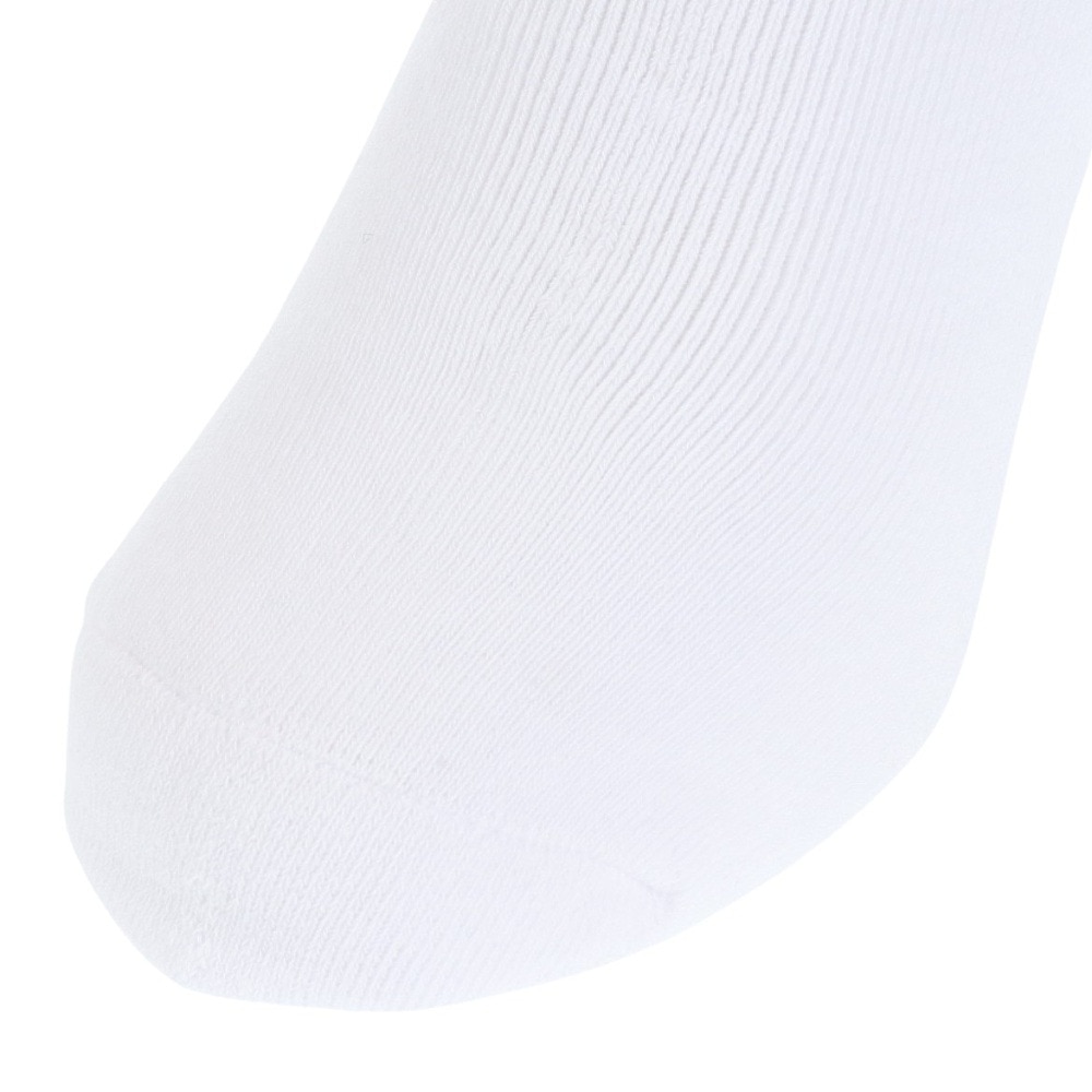ディーシーシューズ（DC SHOES）（メンズ）23 CORPOLATE ソックス 23SPDSO231214WHT