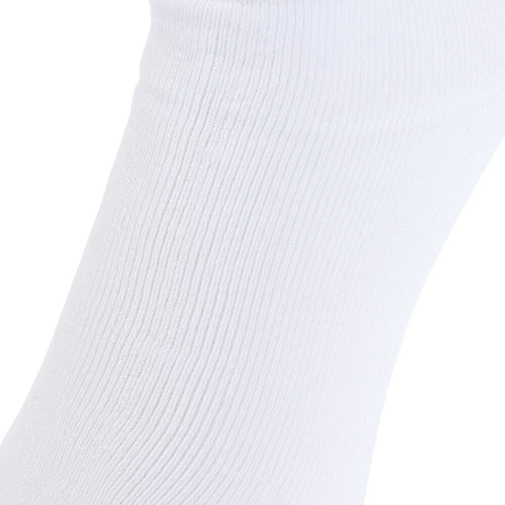 ディーシーシューズ（DC SHOES）（メンズ）23 CORPOLATE ソックス 23SPDSO231214WHT