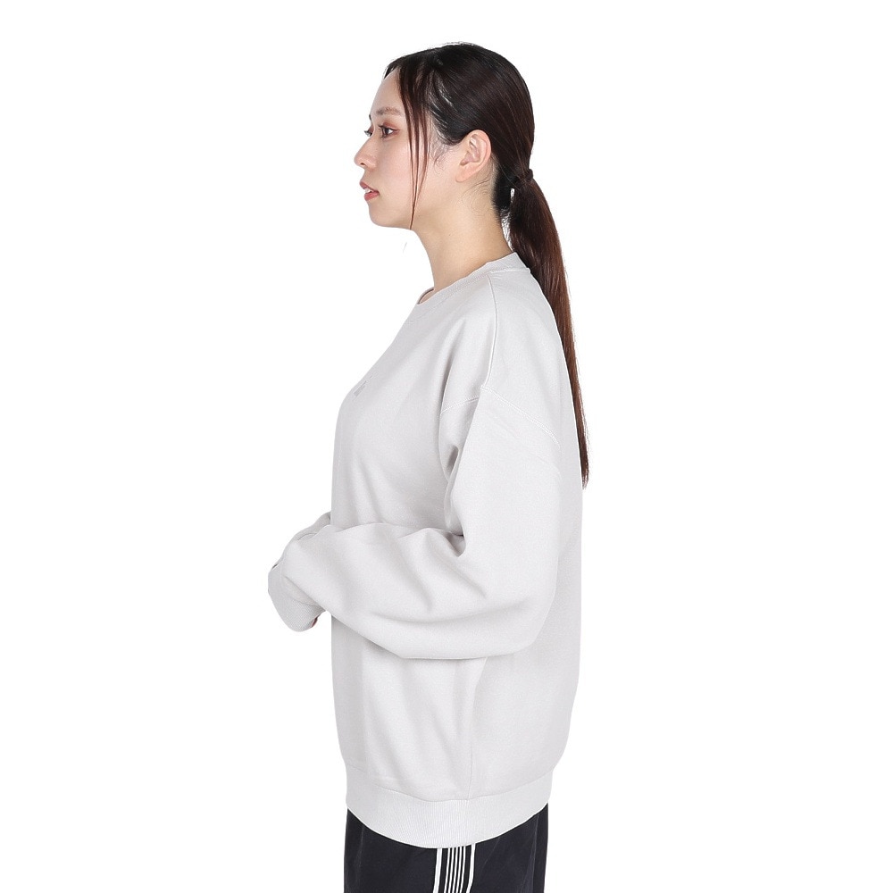 ロキシー（ROXY）（レディース）ORIGINAL SURF プルオーバー 24FWRPO244630SGRY