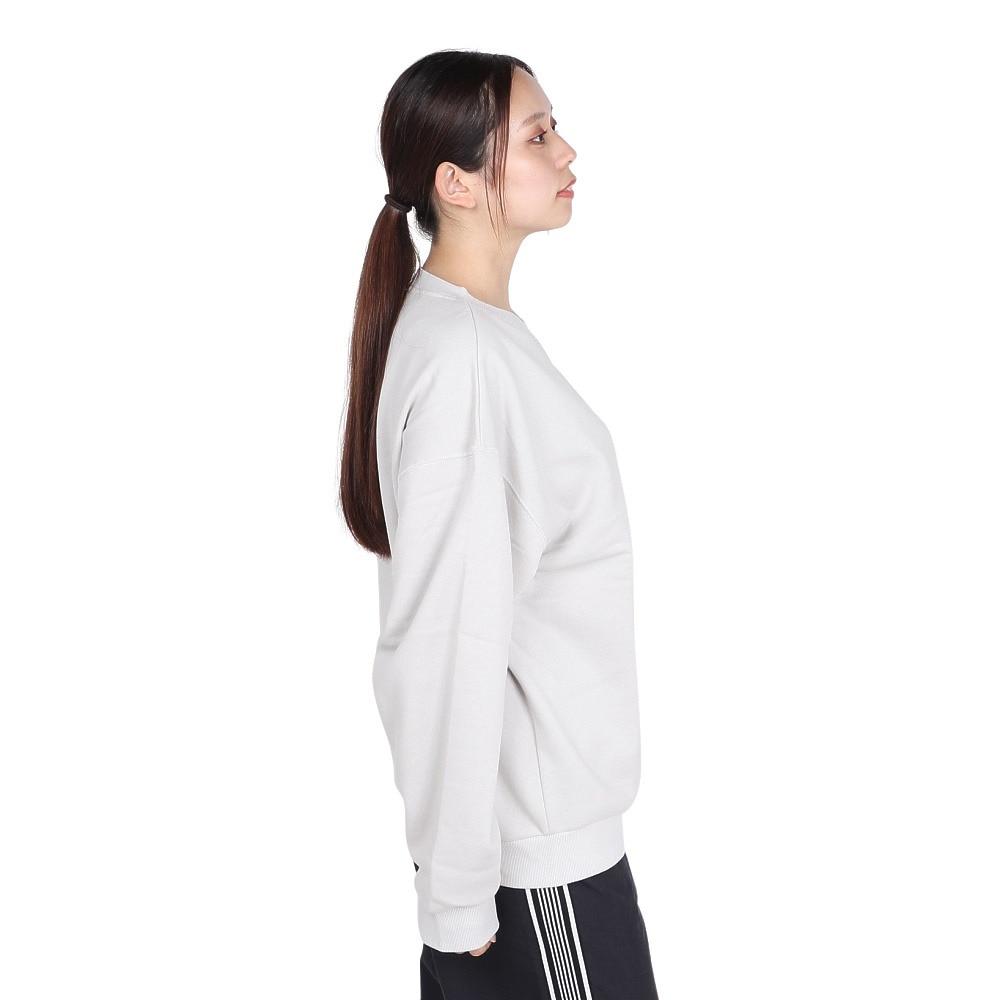 ロキシー（ROXY）（レディース）ORIGINAL SURF プルオーバー 24FWRPO244630SGRY