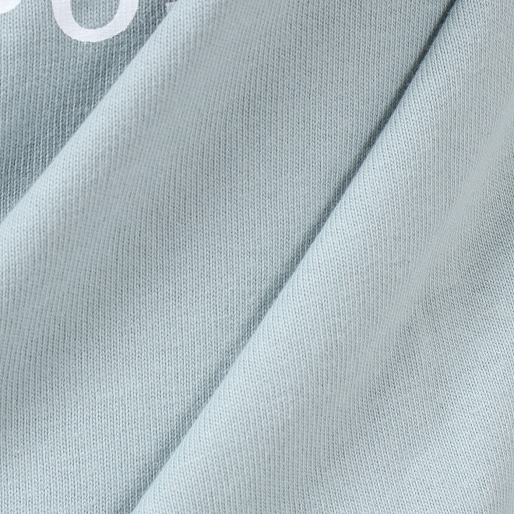 ルーカ（RVCA）（レディース）BANDANA BOX LOGO 長袖Tシャツ BD044066 BHN0