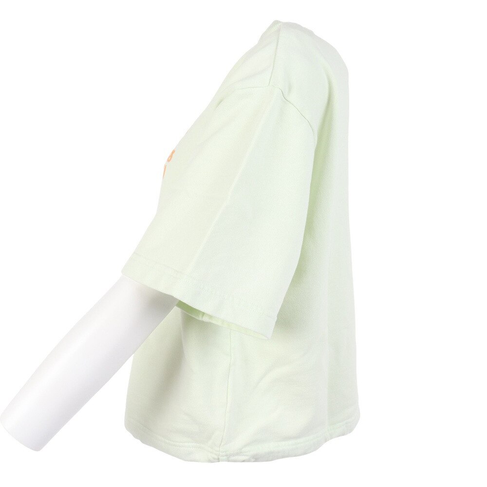 ロキシー（ROXY）（レディース）半袖Tシャツ レディース WAVE FOR DAYS TOPS RDK232025 PIS