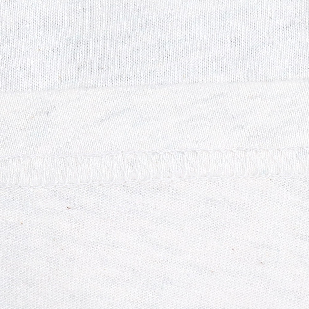 ロキシー（ROXY）（レディース）COLORFUL PALMTREE 半袖Tシャツ 24SPRST241603YHER