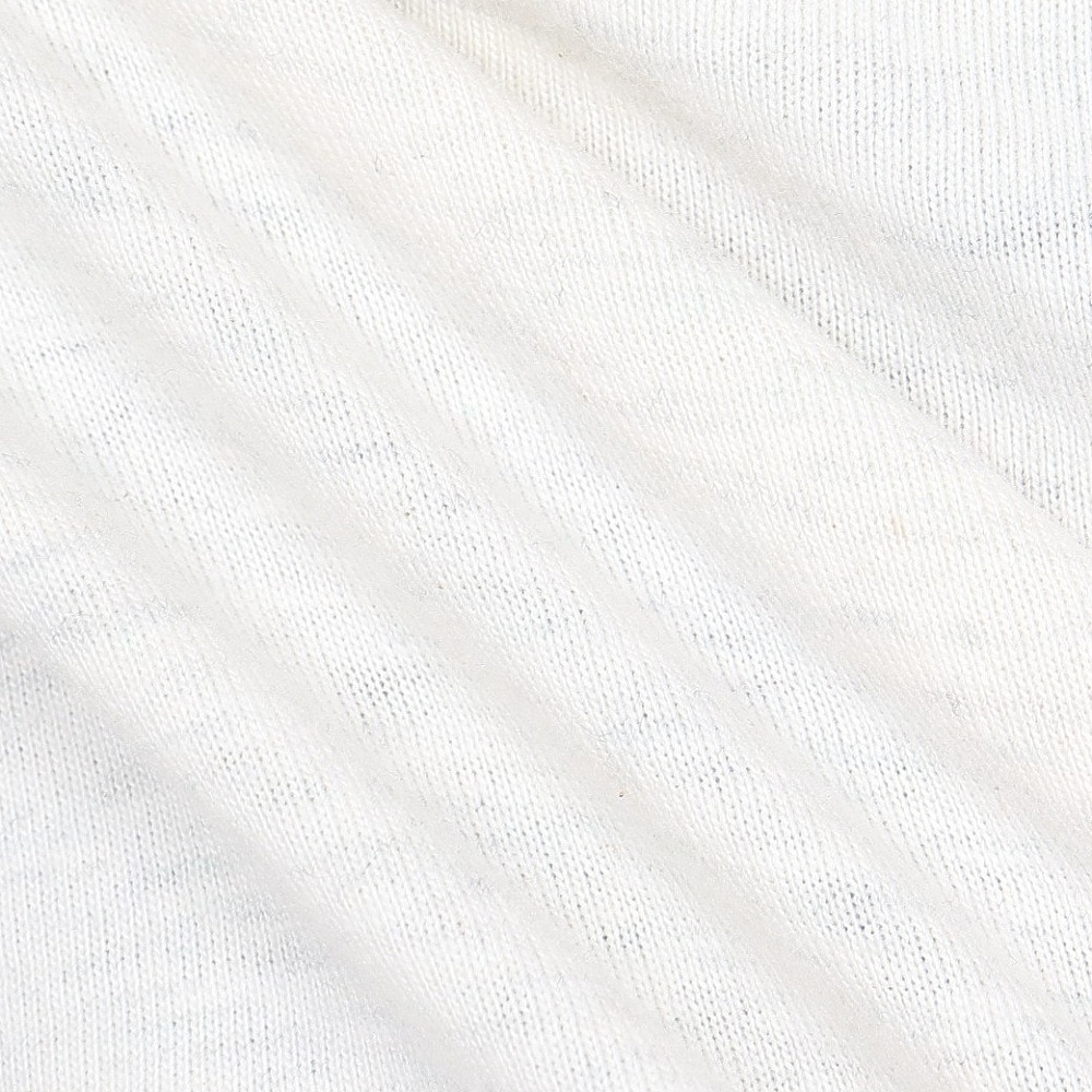 ロキシー（ROXY）（レディース）ORFUL EMBROIDERY 半袖Tシャツ 25SPRST251603YHER