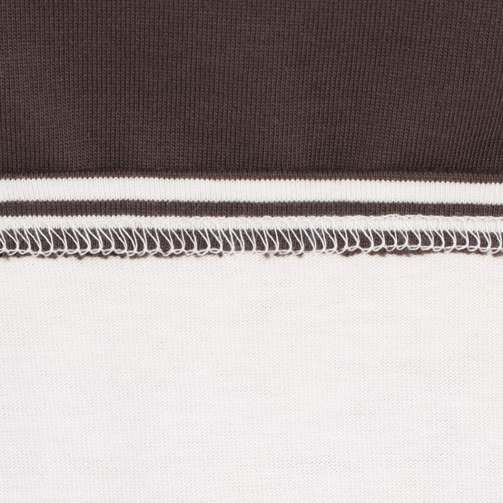 ハーレー（HURLEY）（レディース）CROP BORDER 半袖Tシャツ 24 WSS2320043-BRW