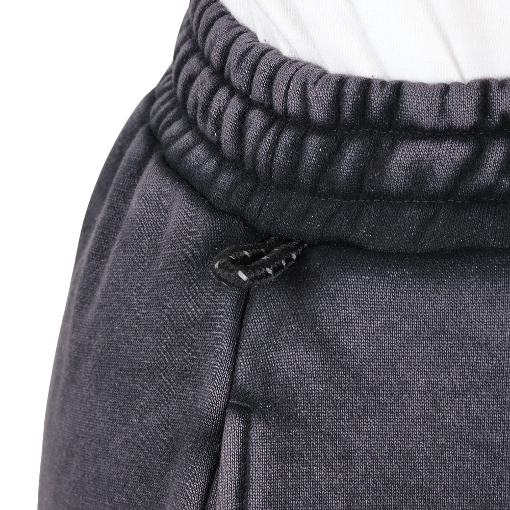 ディーシーシューズ（DC SHOES）（レディース）HIDDEN フリースパンツ 24FWLPT244304BKD