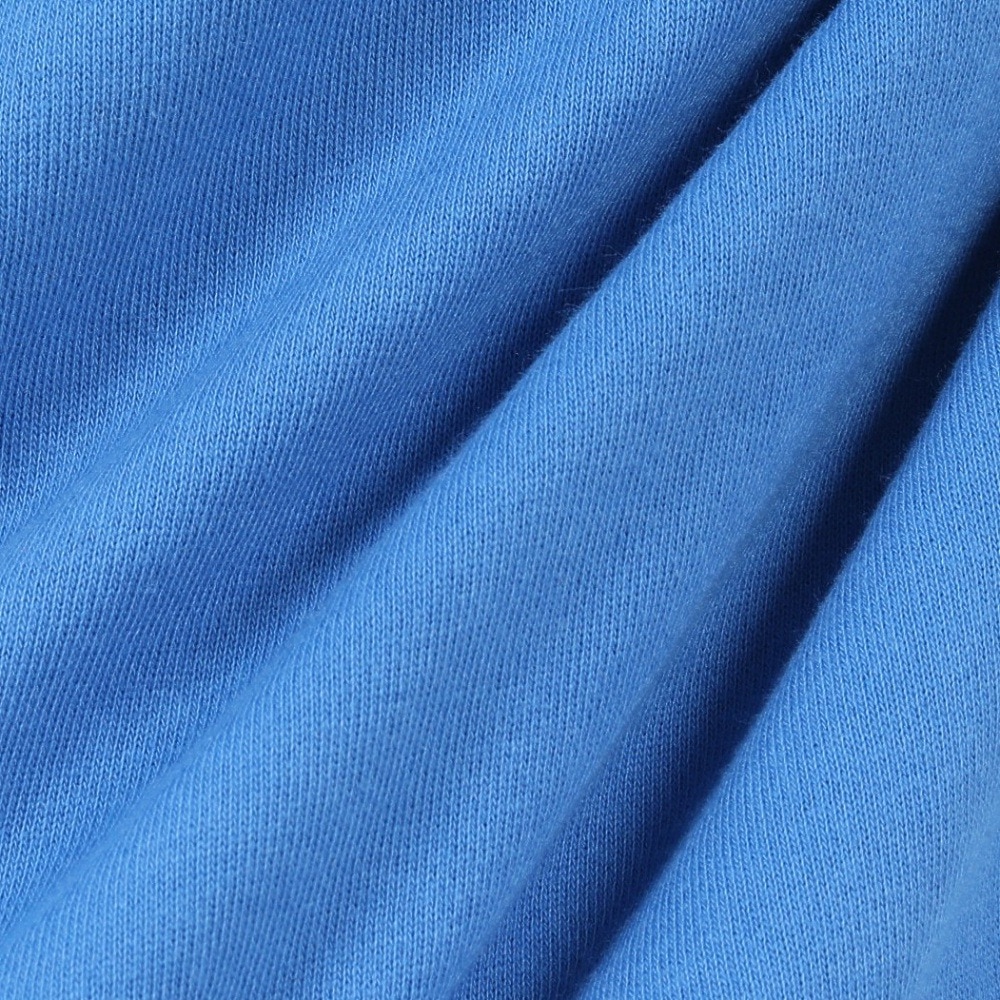 エルケクス（ELKEX）（メンズ）SW スリーブロゴ フーディ EKM4FA0008 BLU