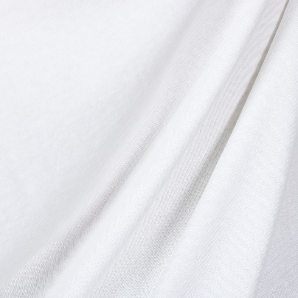 グラミチ（Gramicci）（メンズ）ワンポイントTシャツ G301-OGJ-WHITE