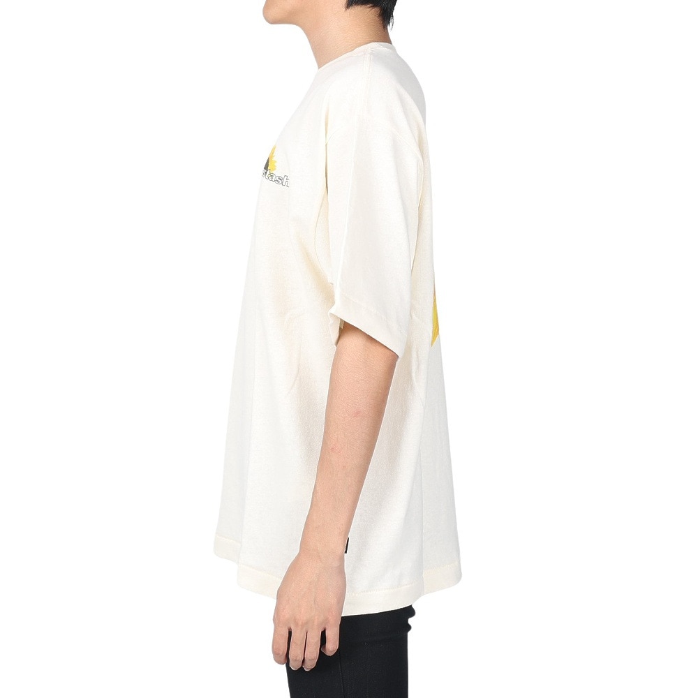 マナスタッシュ（MANASTASH）（メンズ）半袖Tシャツ HEMP TEE SUN シャツ 792-3134046 NTL アイボリー
